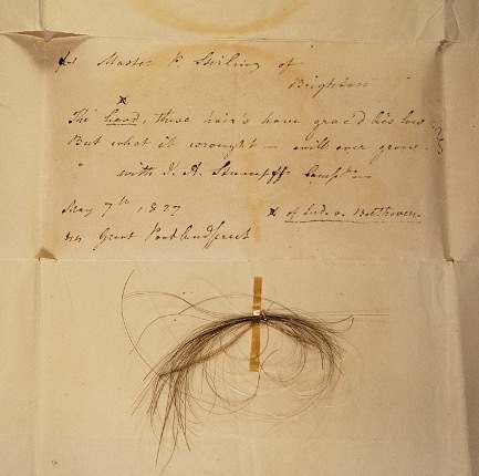 Uma autêntica mecha de cabelo de Beethoven, afixada em uma carta datada de 1827 e fotografada em 2018 por Kevin Brown, membro da American Beethoven Society. (Begg et al., Biologia Atual, 2023)