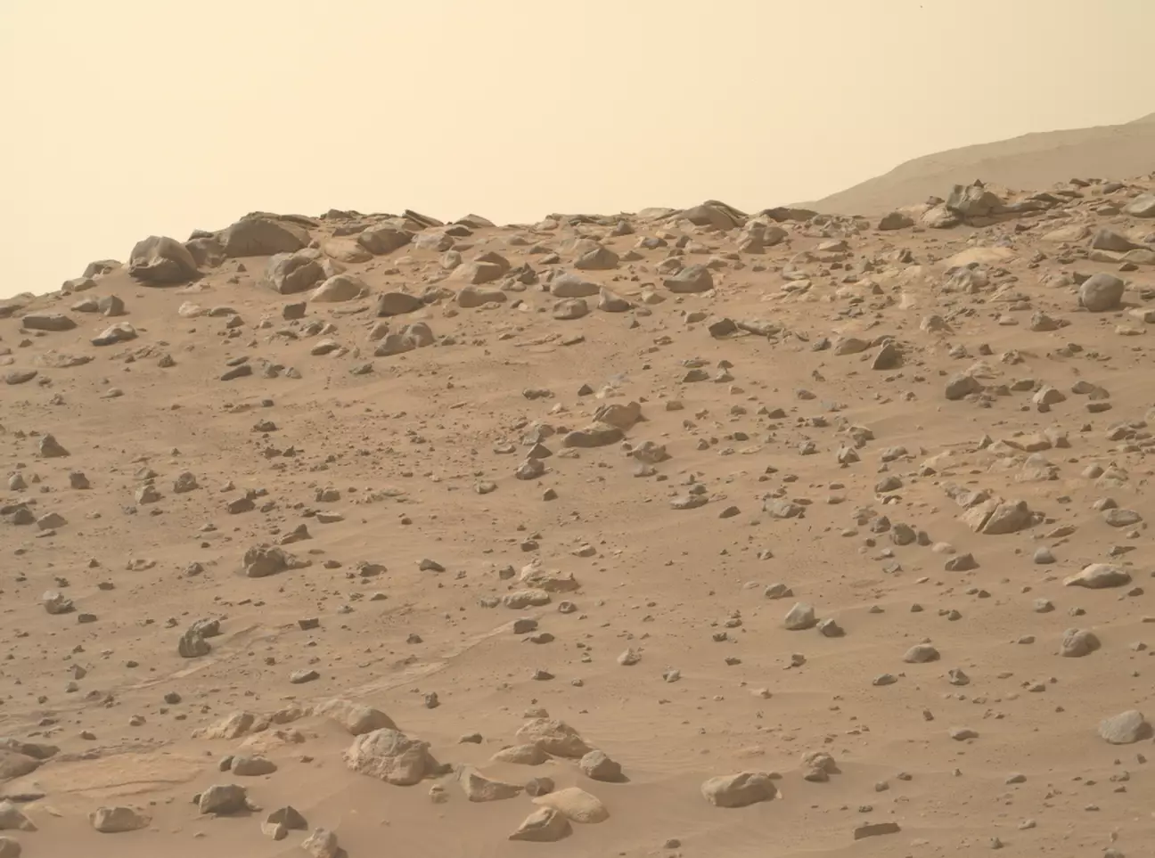 A NASA adquiriu recentemente esta foto de Marte de seu rover Perseverance.