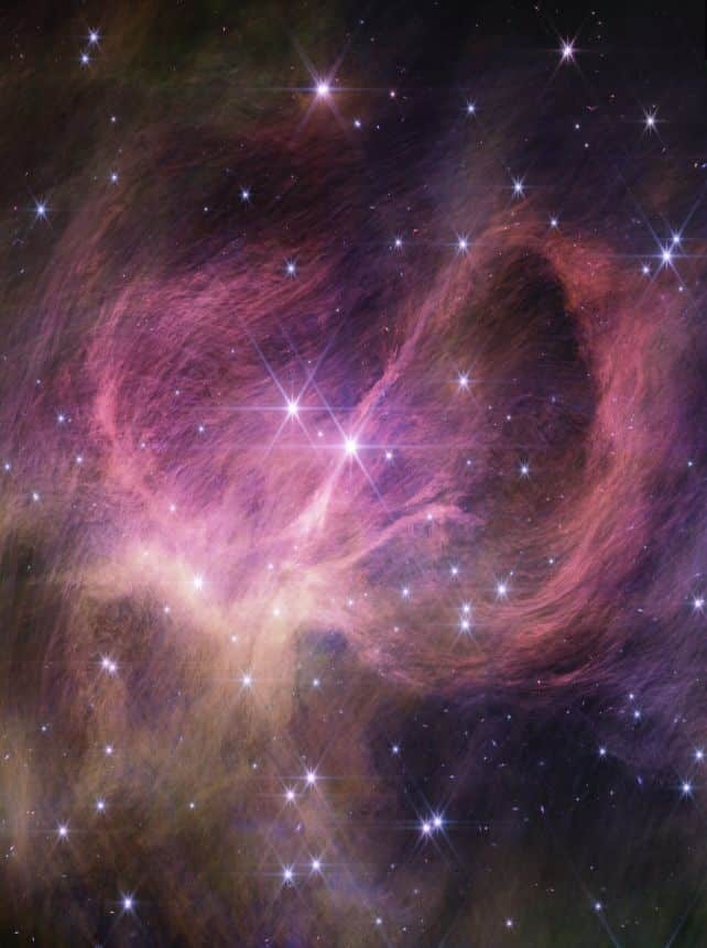 A imagem completa do aglomerado estelar IC 348, onde a pequena anã marrom foi descoberta, obtida usando o NIRCam do JWST. (NASA, ESA, CSA, STScI, K. Luhman/PSU e C. Alves de Oliveira/ESA)
