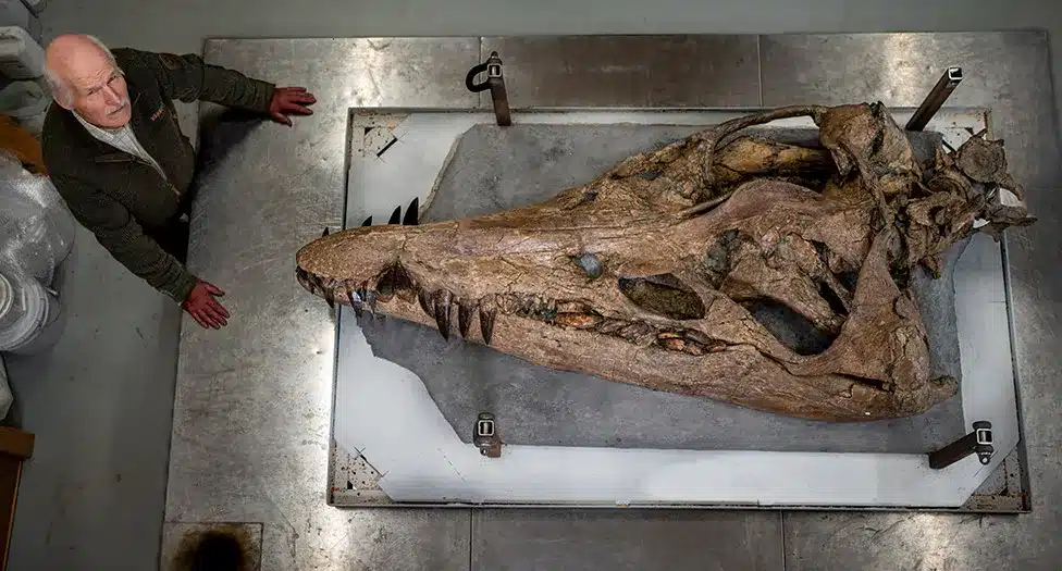 Descoberto fóssil de pliossauro de 150 milhões de anos em penhasco