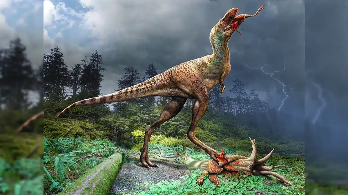 Encontrado dinossauro de 75 milhões de anos com comida no estômago