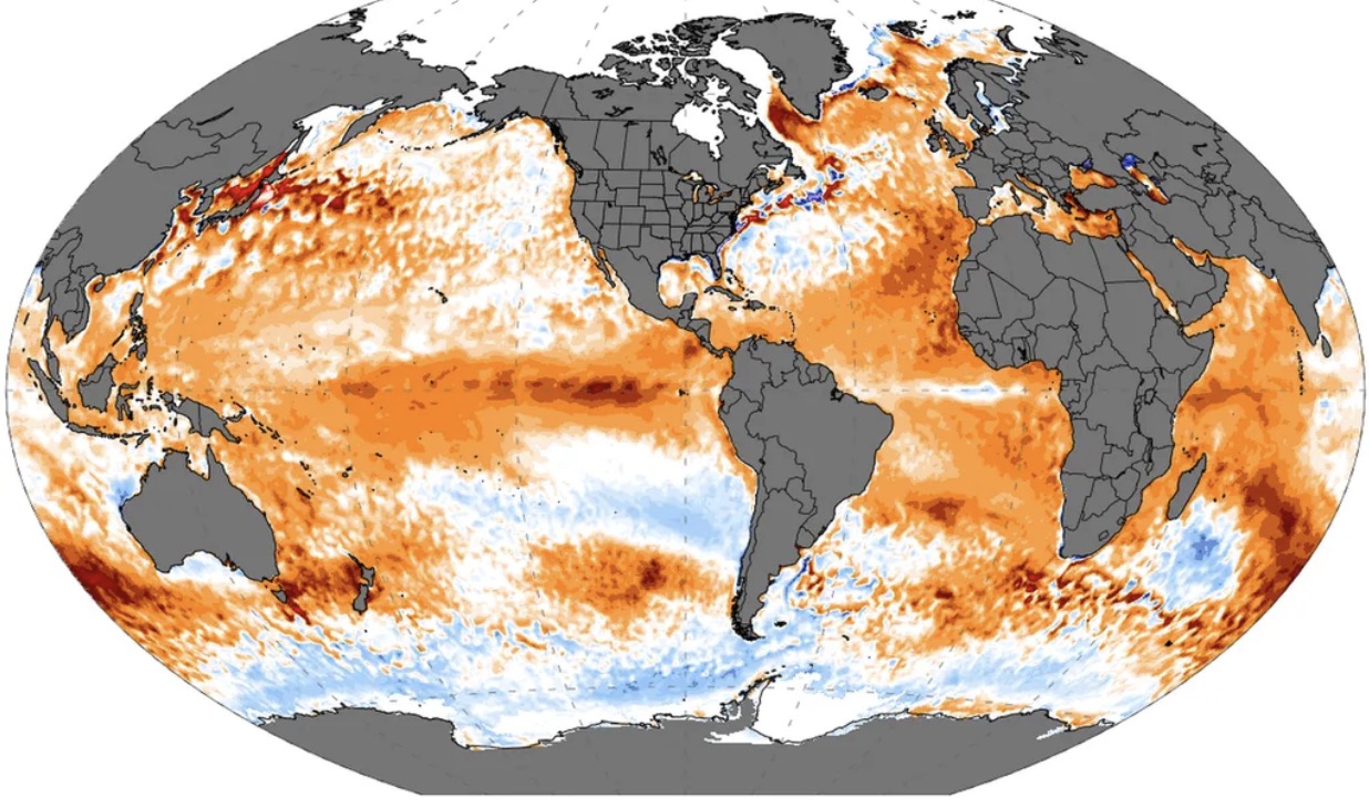 Anomalias de temperatura da superfície do mar em 13 de janeiro de 2024: quente na escala vermelha e frio na azul. Reanalisador climático