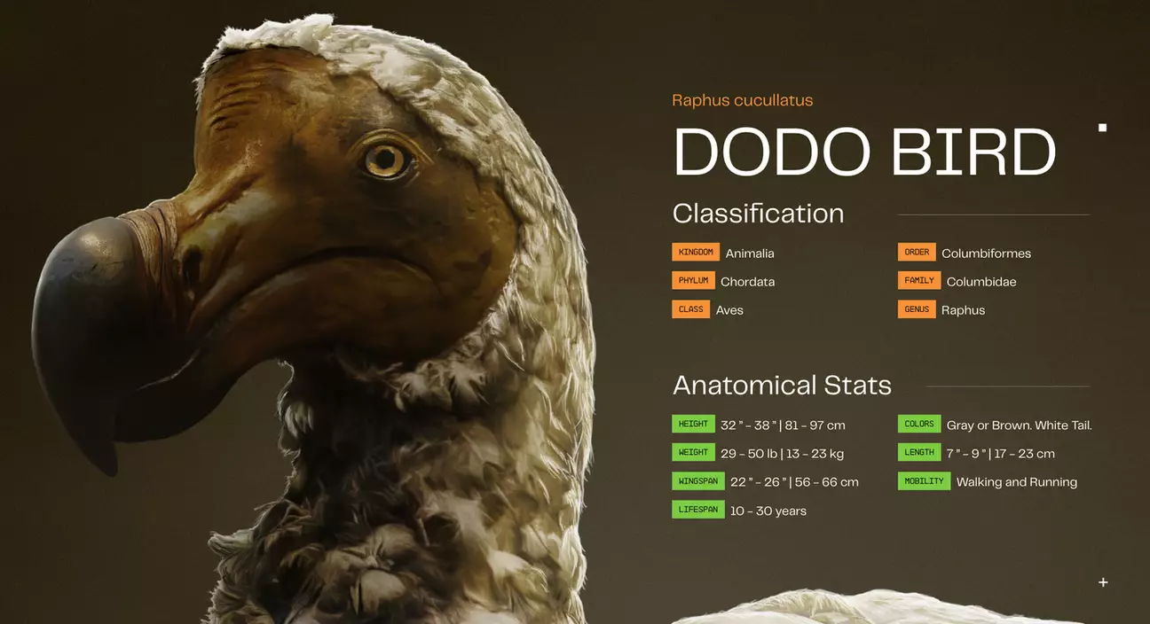 Desextinção do dodô está mais perto de realmente acontecer