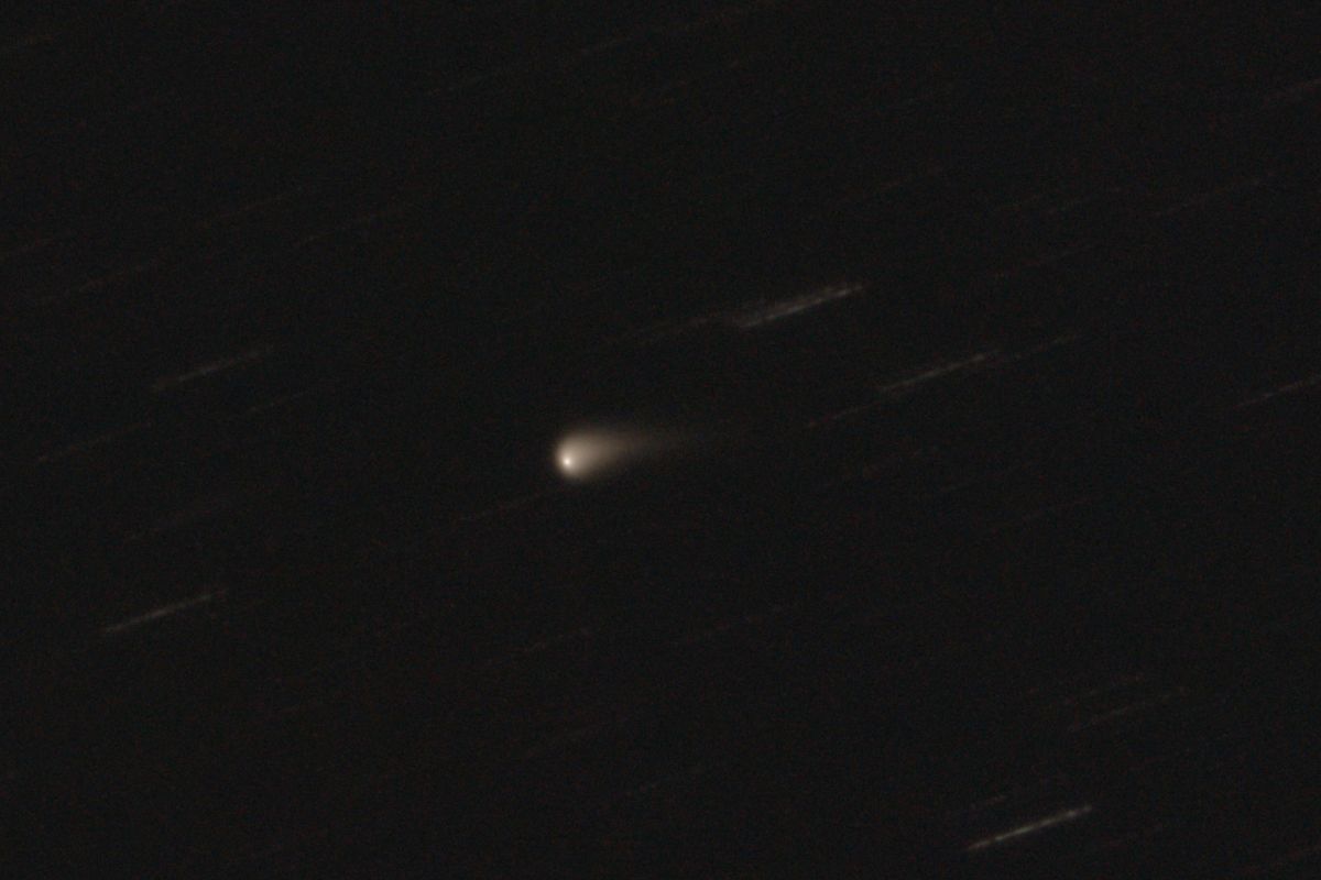 C/2023 A3 (Tsuchinshan-ATLAS) em 26 de abril de 2024 visto através de um telescópio refletor f/4 de 8 polegadas. (Crédito da imagem: Wikimedia Commons/C messier/CC BY 4.0)