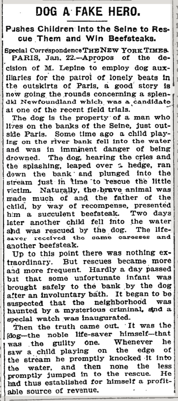 Cão ficava empurrando crianças em rio para ganhar recompensas de bife
